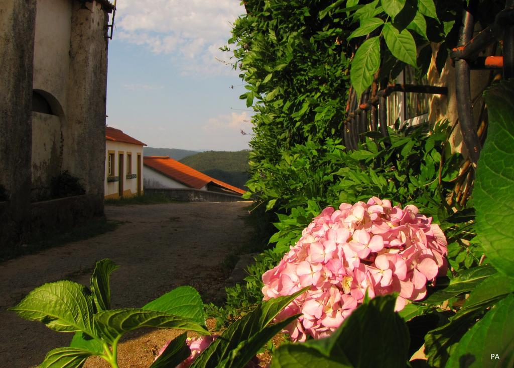 Quinta Do Cerquito Βίλα Ferreira do Zêzere Εξωτερικό φωτογραφία