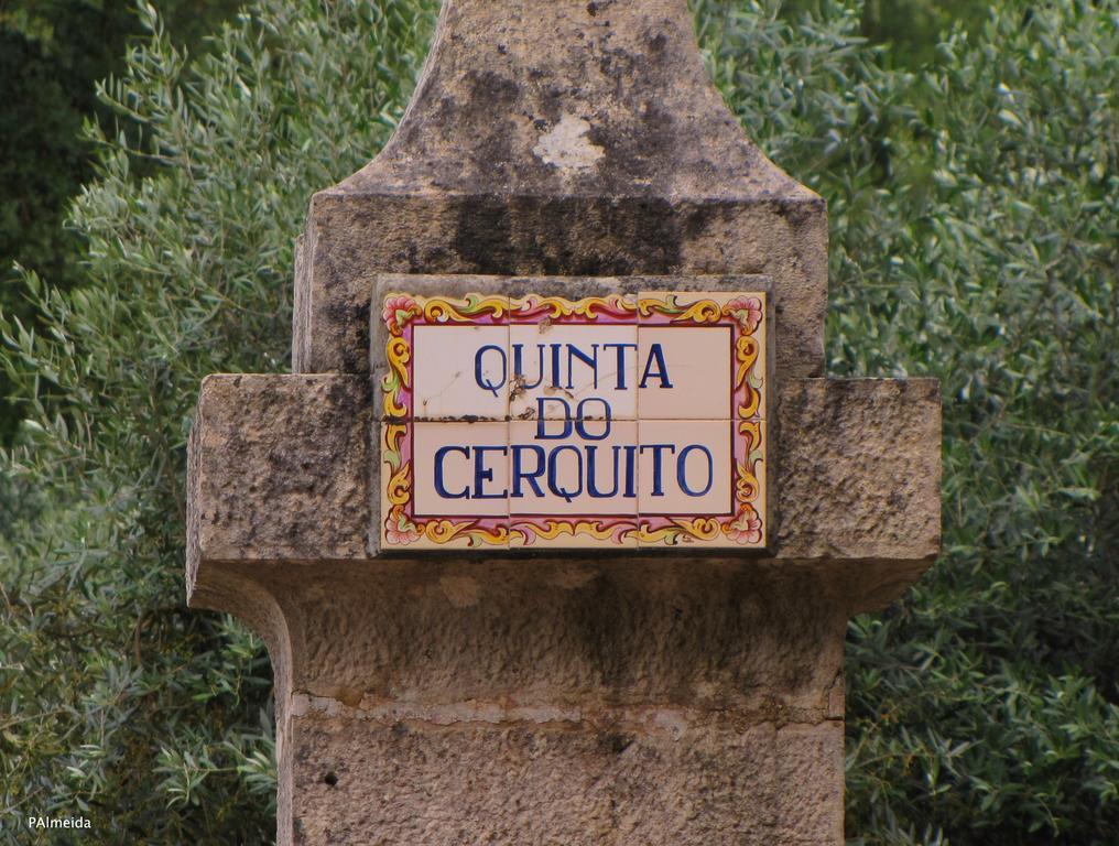 Quinta Do Cerquito Βίλα Ferreira do Zêzere Εξωτερικό φωτογραφία