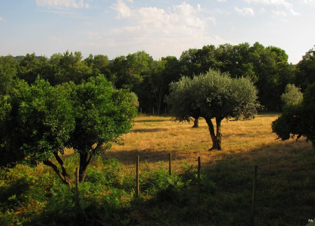 Quinta Do Cerquito Βίλα Ferreira do Zêzere Εξωτερικό φωτογραφία