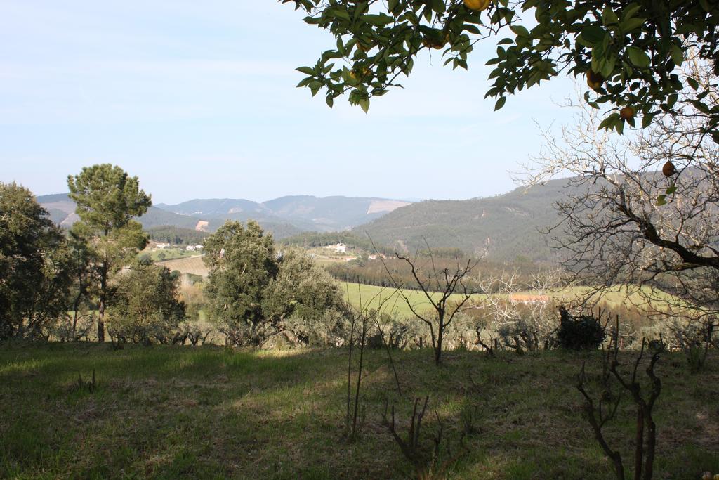 Quinta Do Cerquito Βίλα Ferreira do Zêzere Εξωτερικό φωτογραφία
