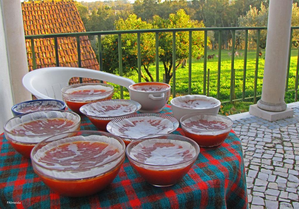 Quinta Do Cerquito Βίλα Ferreira do Zêzere Εξωτερικό φωτογραφία